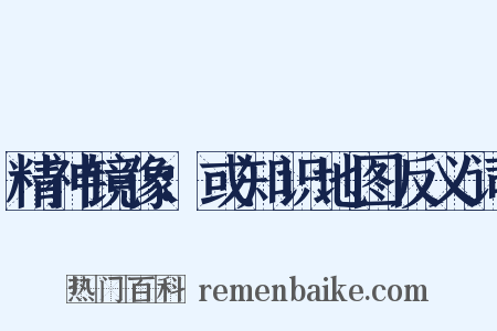 精神镜像：或知识地图反义词是什么意思的图片